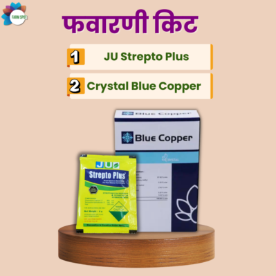 Blue copper - Strepto plus Spray Combo Kit - Image 2